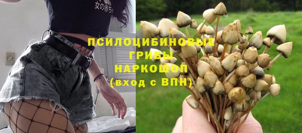 героин Алзамай