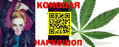 стаф Лесосибирск