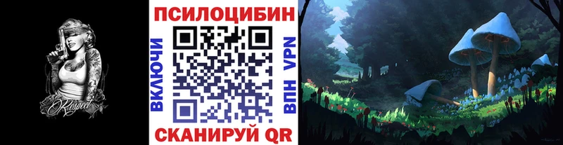 Псилоцибиновые грибы Psilocybine cubensis  Черкесск 