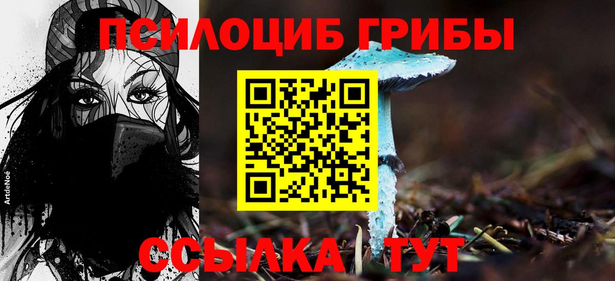 Псилоцибиновые грибы Psilocybe  как найти   Галлюциногенные грибы GOLDEN TEACHER  Черкесск  Вход с VPN 