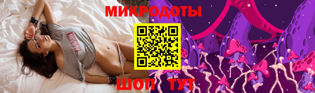 Псилоцибиновые грибы Cubensis Черкесск