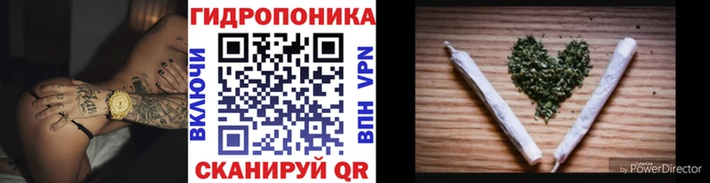 Бошки Шишки MAZAR Черкесск